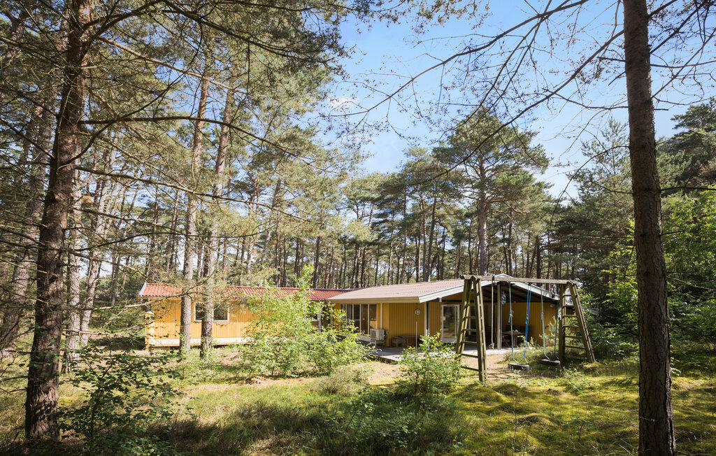 Ferienhaus - Dueodde , Dänemark - I62889 1