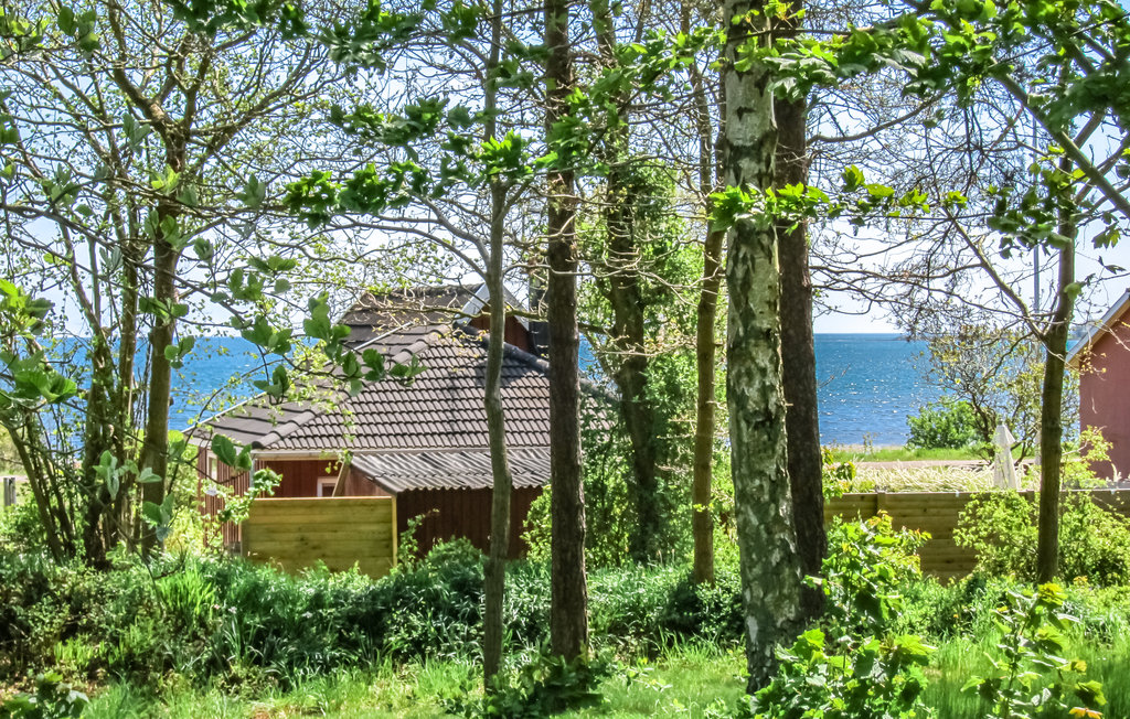 Feriehuse - Balka , Danmark - I63284 2