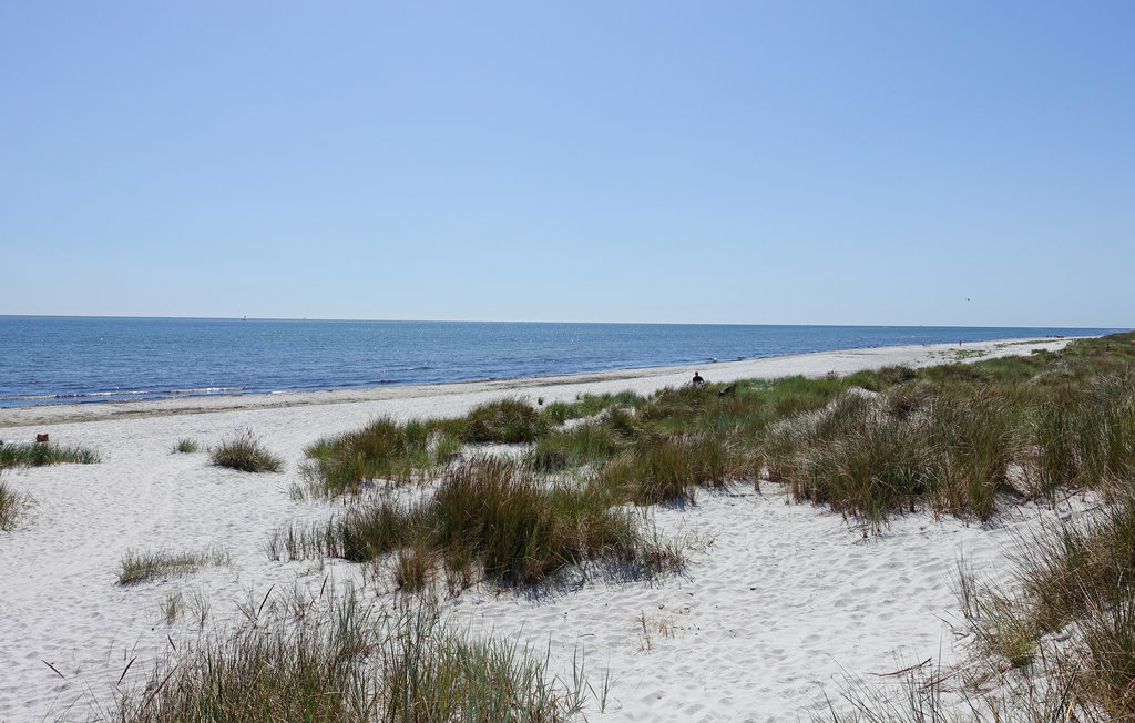 Ferienhaus - Dueodde , Dänemark - I63020 29