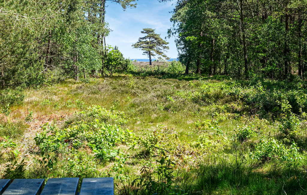 Feriehus - Balka , Danmark - I63304 8