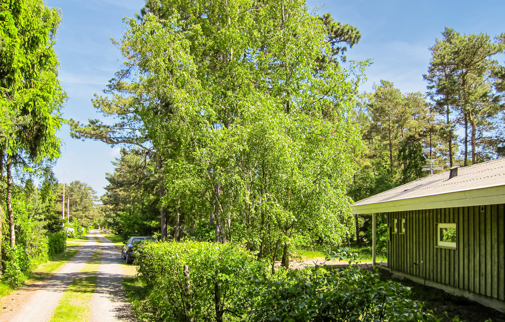 Feriehuse - Snogebæk Strand , Danmark - I63218 12