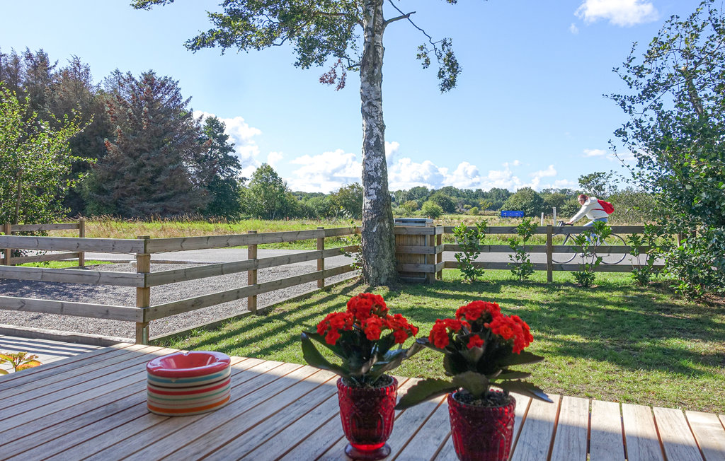 Feriehus - Balka , Danmark - I63254 15