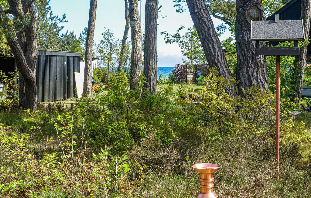 Feriehuse - Balka , Danmark - I63252 2