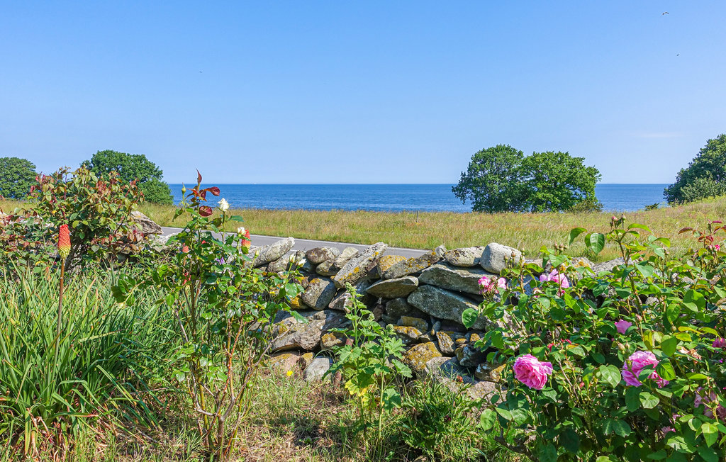 Ferienhaus - Bølshavn , Dänemark - I65840 17