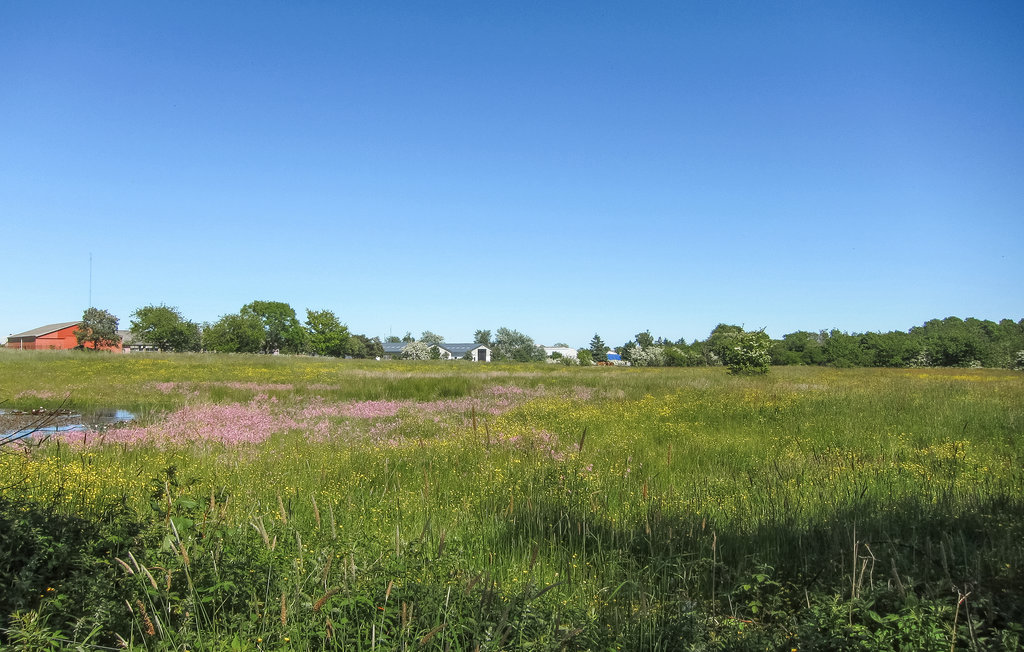 Feriehus - Nexø , Danmark - I65890 23