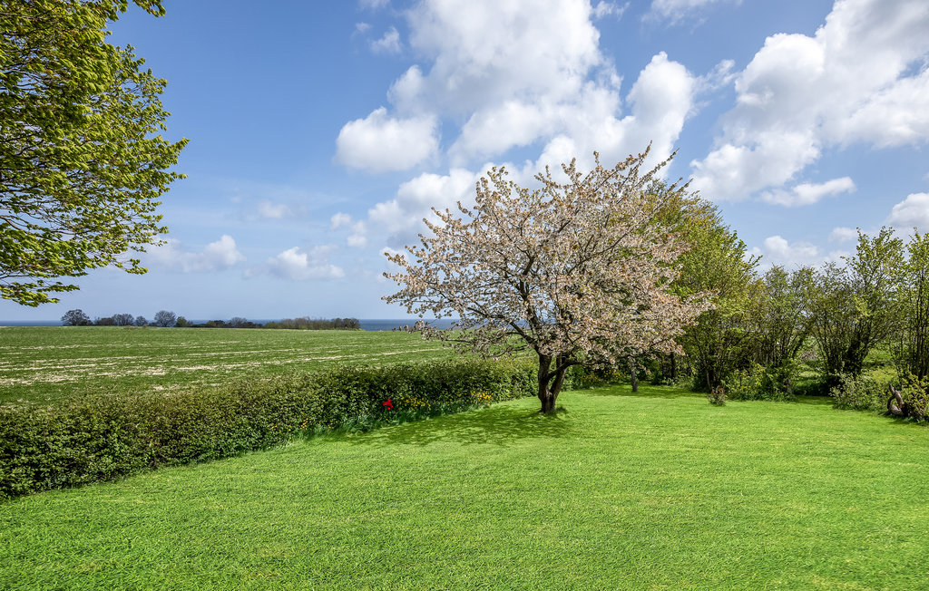 Feriehuse - Årsdale , Danmark - I65884 21