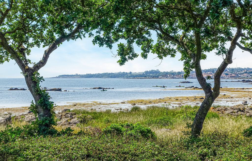 Ferienhaus - Årsdale , Dänemark - I65814 25