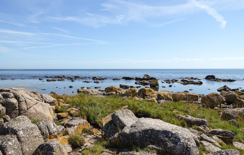 Ferienwohnung - Årsdale , Dänemark - I65815 19