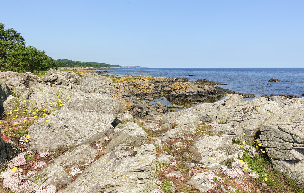 Ferienhaus - Bølshavn , Dänemark - I65840 37