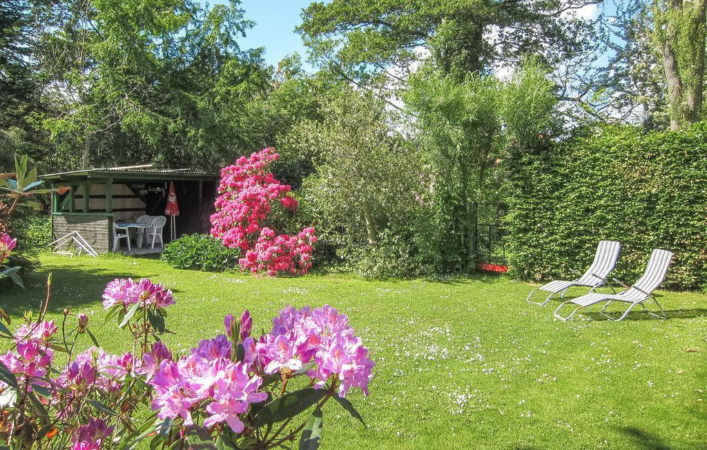 Feriehus - Nexø , Danmark - I65890 14