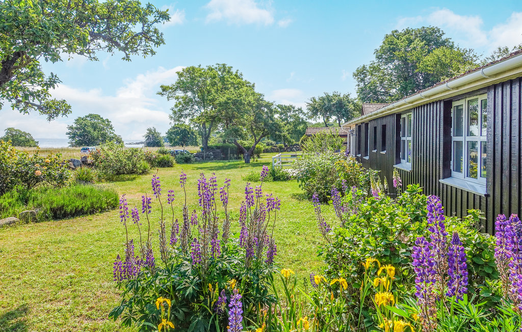 Ferienhaus - Bølshavn , Dänemark - I65840 9