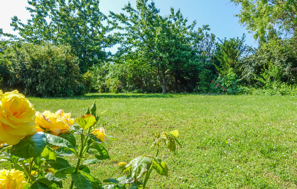 Ferienhaus - Bølshavn , Dänemark - I65840 14