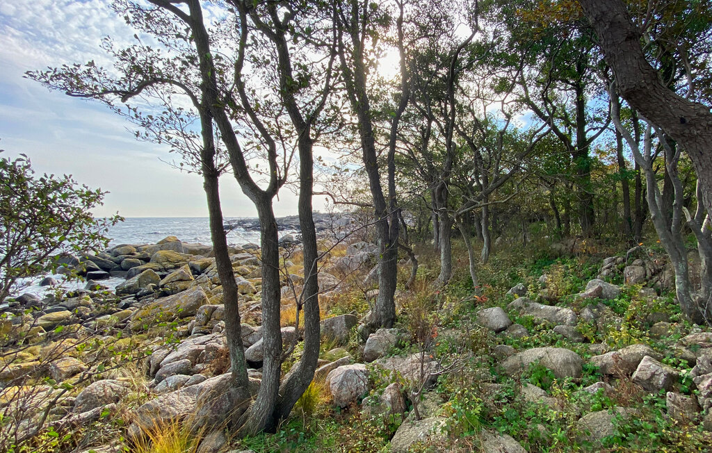 Feriehuse - Årsdale , Danmark - I65884 36