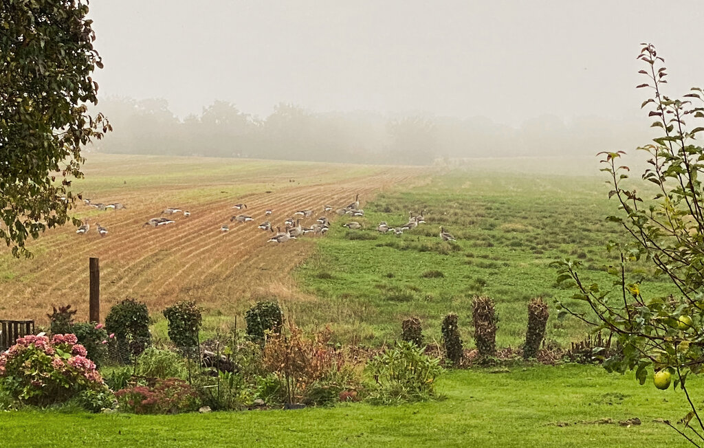 Feriehuse - Årsdale , Danmark - I65884 37