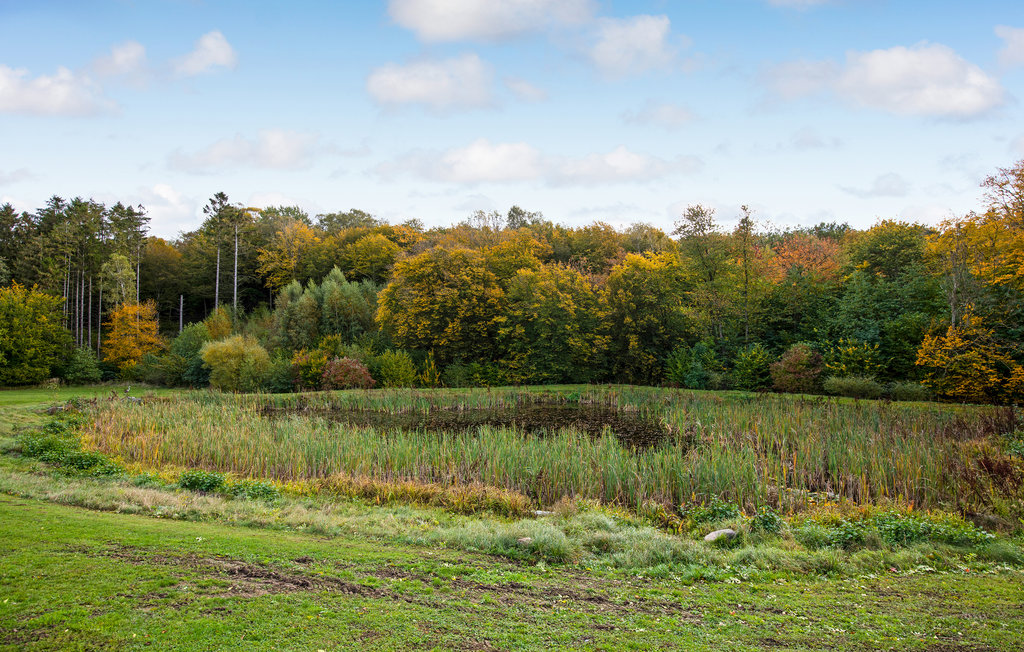 Feriehuse - Gudhjem , Danmark - I66091 15