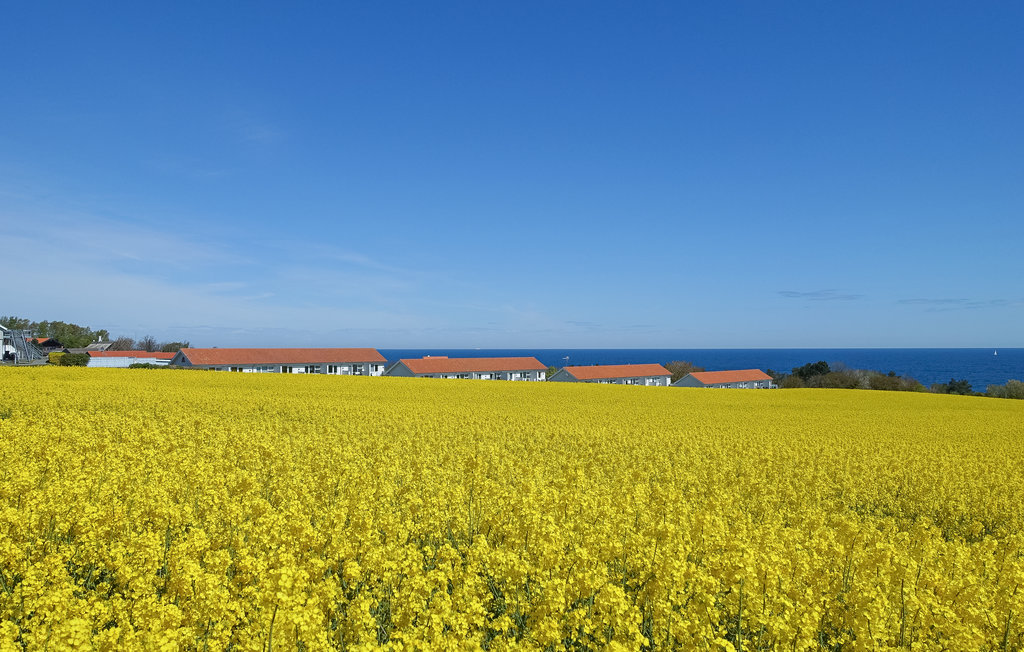 Ferieleilighet - Boesvang , Danmark - I67326 12