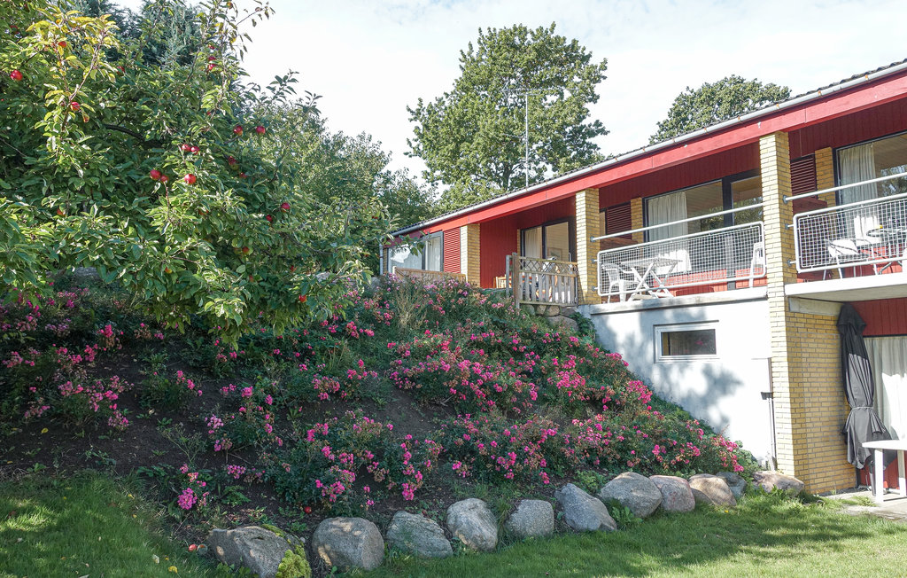 Ferienwohnung - Sandkås , Dänemark - I67025 9