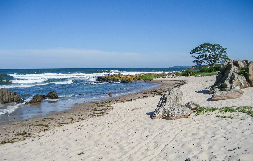 Ferienwohnung - Sandkås , Dänemark - I67201 16