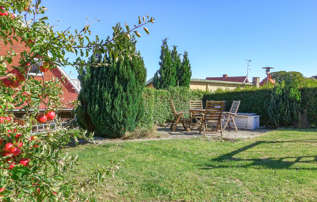 Feriehuse - Tejn , Danmark - I67061 12