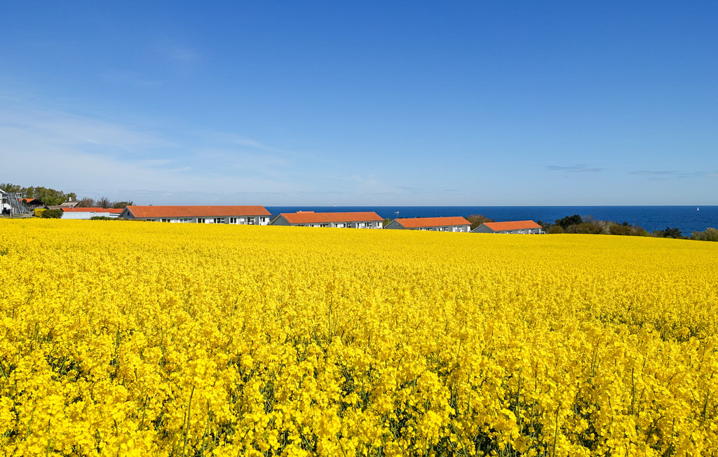 Ferieleilighet - Boesvang , Danmark - I67308 13