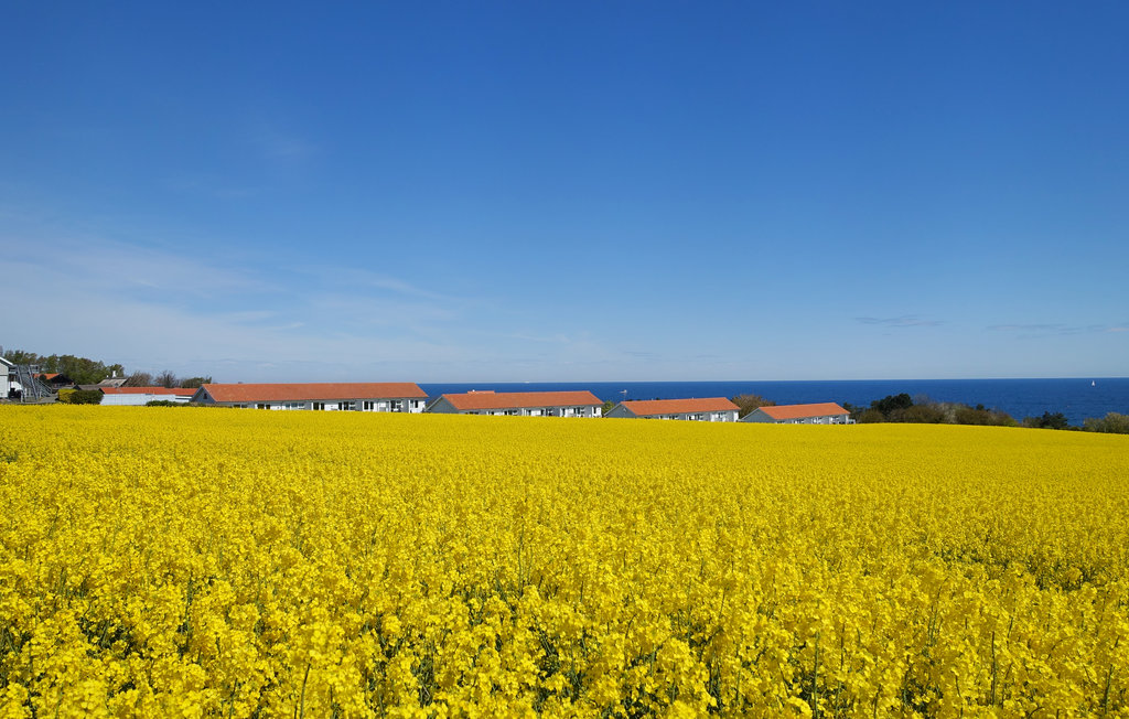 Ferieleilighet - Boesvang , Danmark - I67312 14