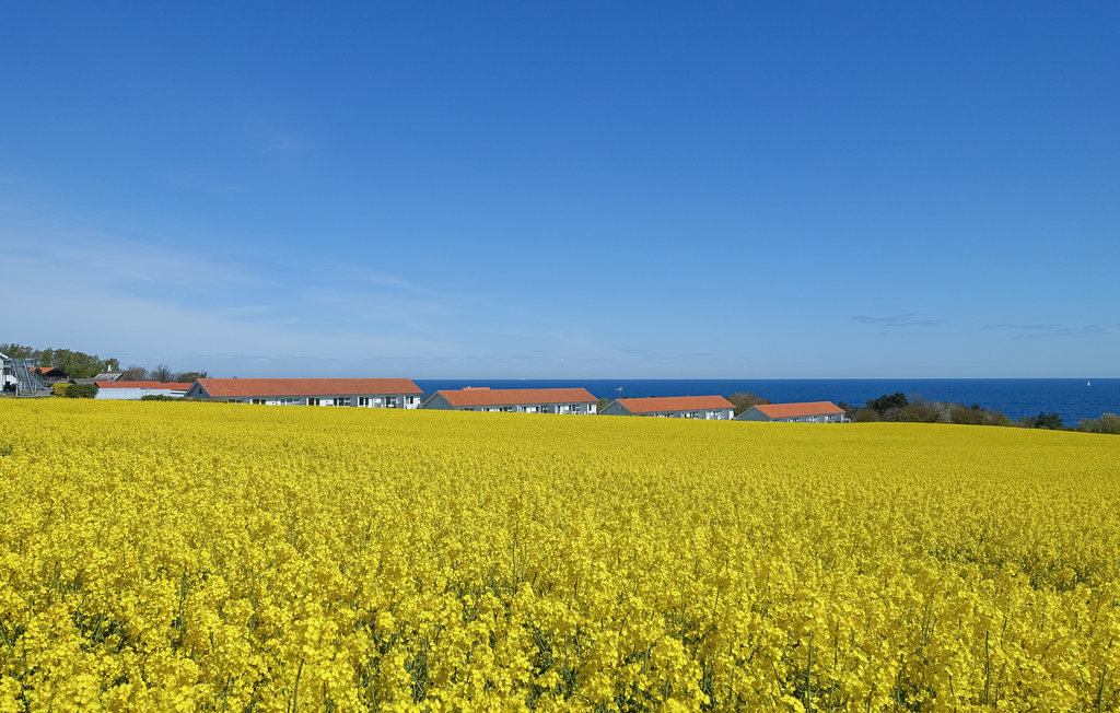 Lejlighed - Boesvang , Danmark - I67339 20