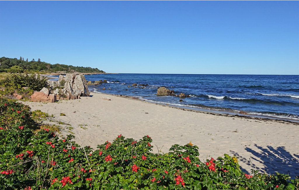 Feriehus - Sandkås , Danmark - I67037 8