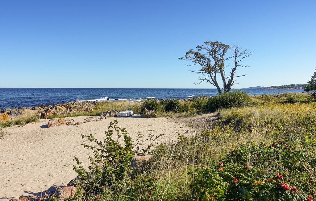 Ferieleilighet - Sandkås , Danmark - I67070 24