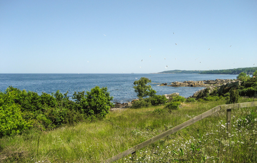 Semesterhus - Rø , Danmark - I67080 38