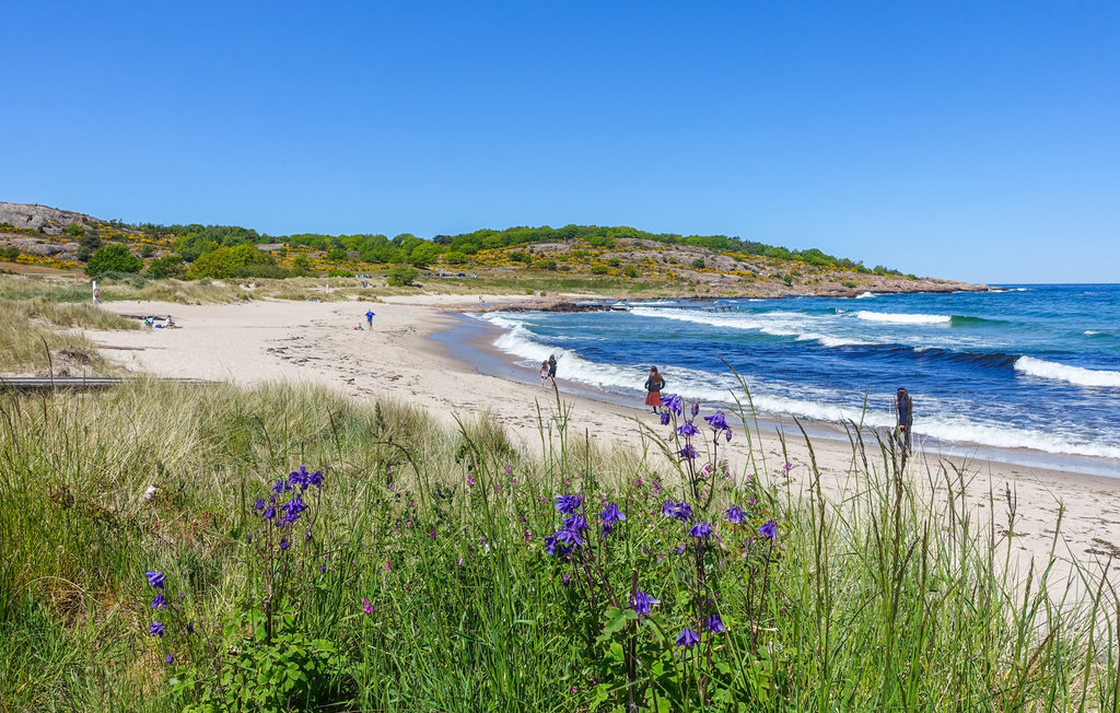 Feriehus - Allinge-Sandvig , Danmark - I68082 40