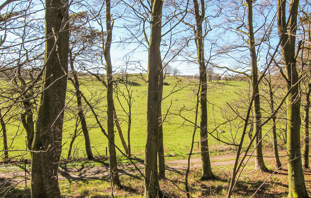 Ferieleilighet - Sandvig , Danmark - I68200 36