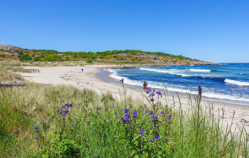 Feriehus - Sandkås , Danmark - I68092 27