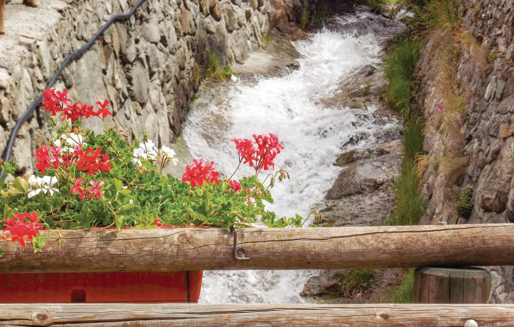 Ferieleilighet - Cogne , Italia - IAO109 20