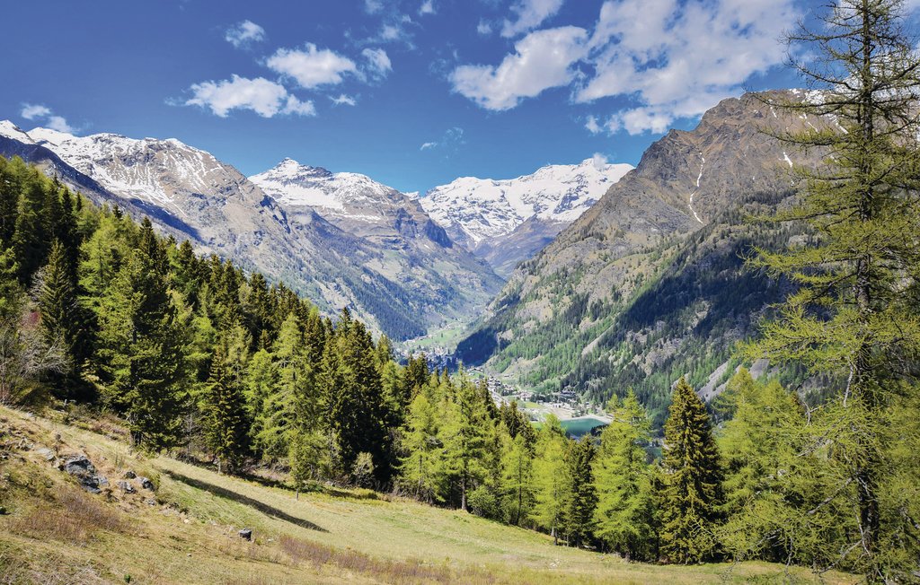 Ferienwohnung - Valgrisanche , Italien - IAO132 5