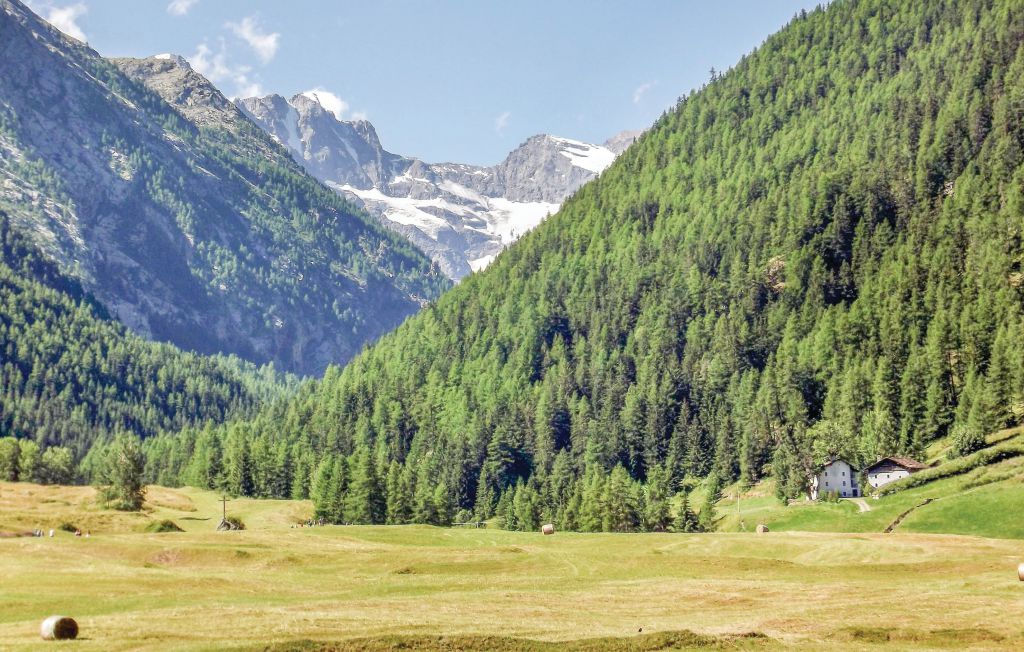 Ferieleilighet - Cogne , Italia - IAO109 25