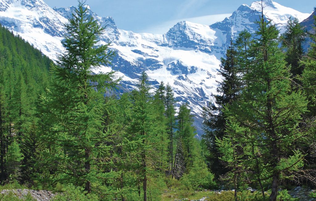 Feriehus - Cogne , Italia - IAO102 22