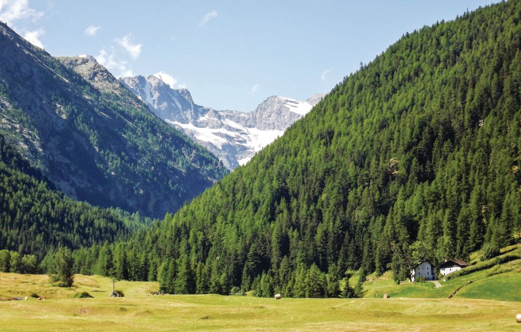 Feriehus - Cogne , Italia - IAO102 5