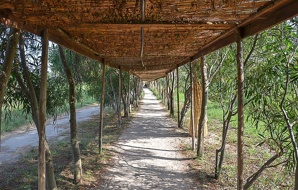 Ferienwohnung - Metaponto , Italien - IBJ110 10