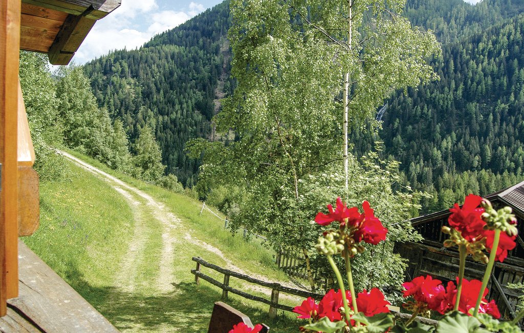 Semesterhus - Peio Terme , Italien - IDD186 9