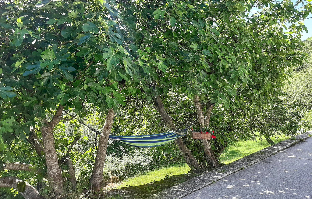 Feriehus - Belluno , Italia - IDD295 9