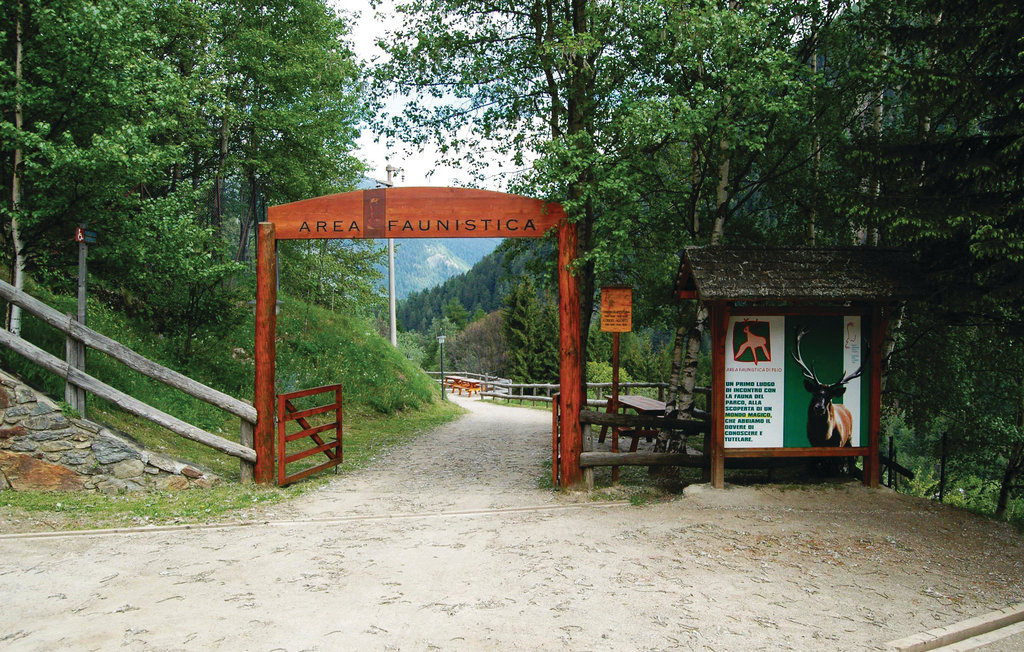 Ferienhaus - Peio Terme , Italien - IDD185 17