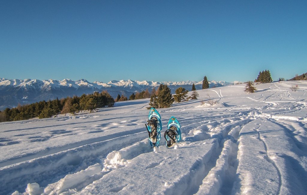 Ferienwohnung - Tolmezzo , Italien - IDD310 6