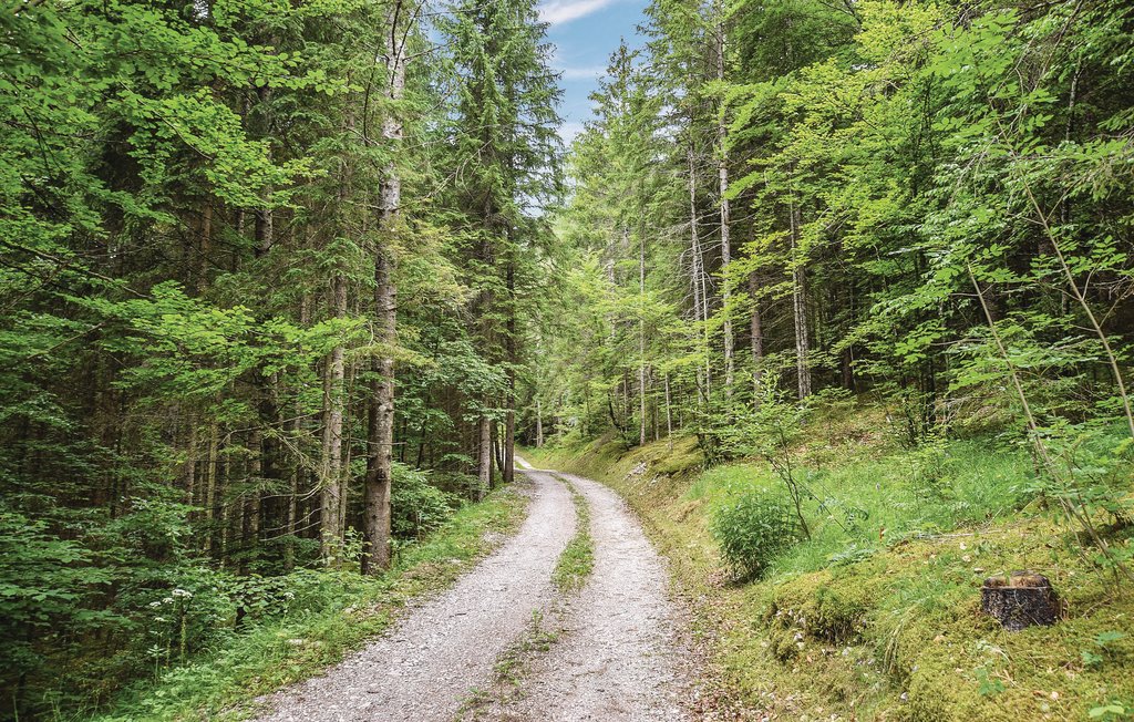 Ferienwohnung - Lauco - Dolomiti Friulane , Italien - IDD306 17
