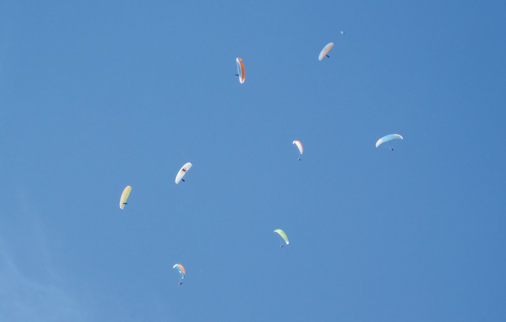 Ferienwohnung - Tolmezzo , Italien - IDD310 23