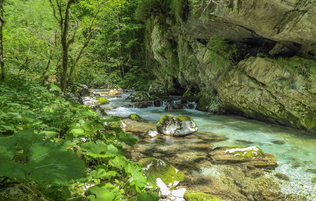 Feriehus - Feltre , Italia - IDD294 41