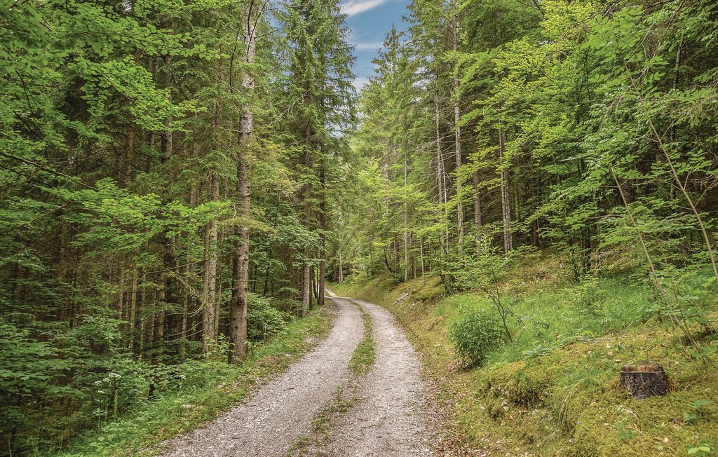 Ferienwohnung - Tolmezzo , Italien - IDD309 19