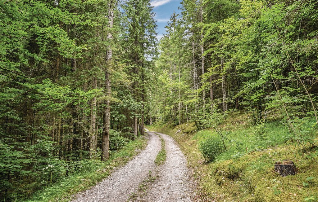 Ferienwohnung - Tolmezzo , Italien - IDD310 22