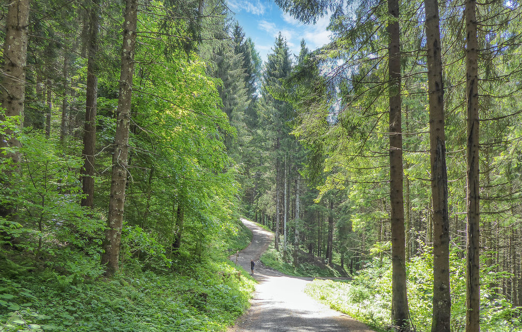 Ferienwohnung - Racines/Ratschings , Italien - IDD431 7