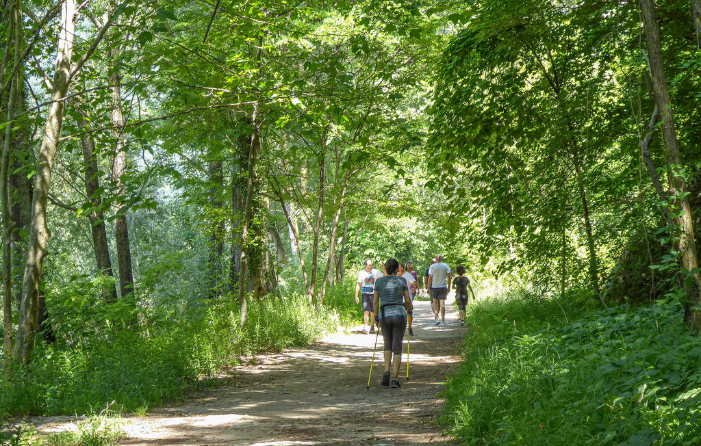 Feriehuse - Sovramonte , Italien - IDD338 6