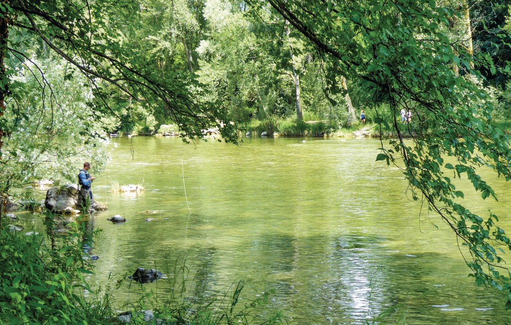 Feriehus - Belluno , Italia - IDD295 20